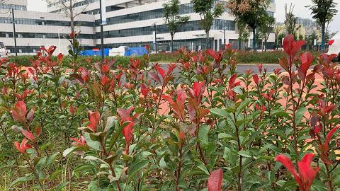 百年老院发新芽！市属医院北扩填空白，郑州市三院北院区开诊