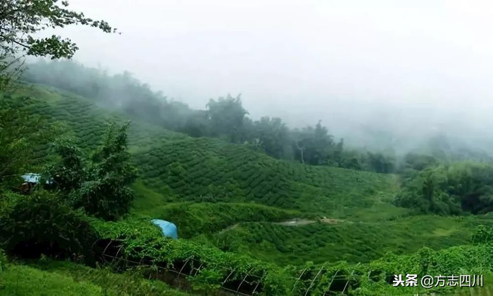 1999年改革开放大事记是什么,1988年四川改革开放大事记