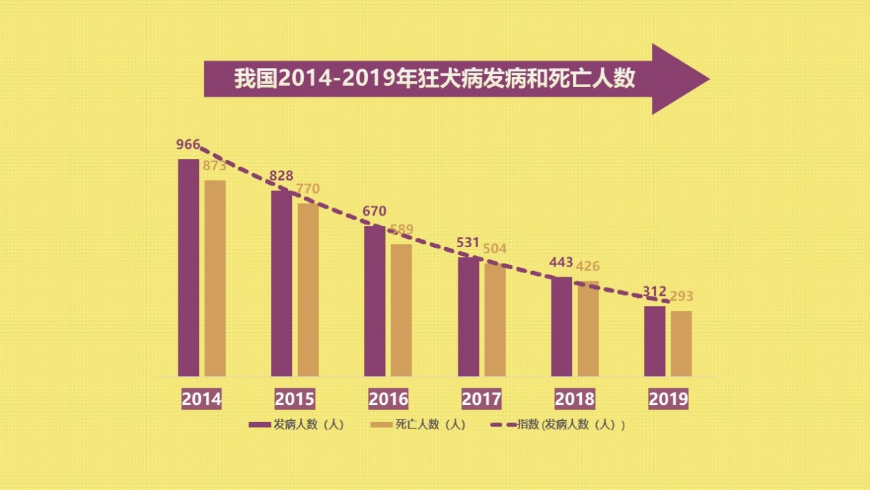 为什么狂犬病还是无法治愈,我国狂犬病为什么很难消灭