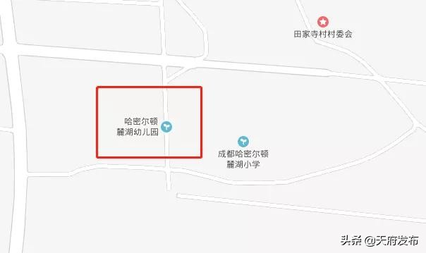 “60分万岁”只是个梗,新区的成绩单获市民点赞!