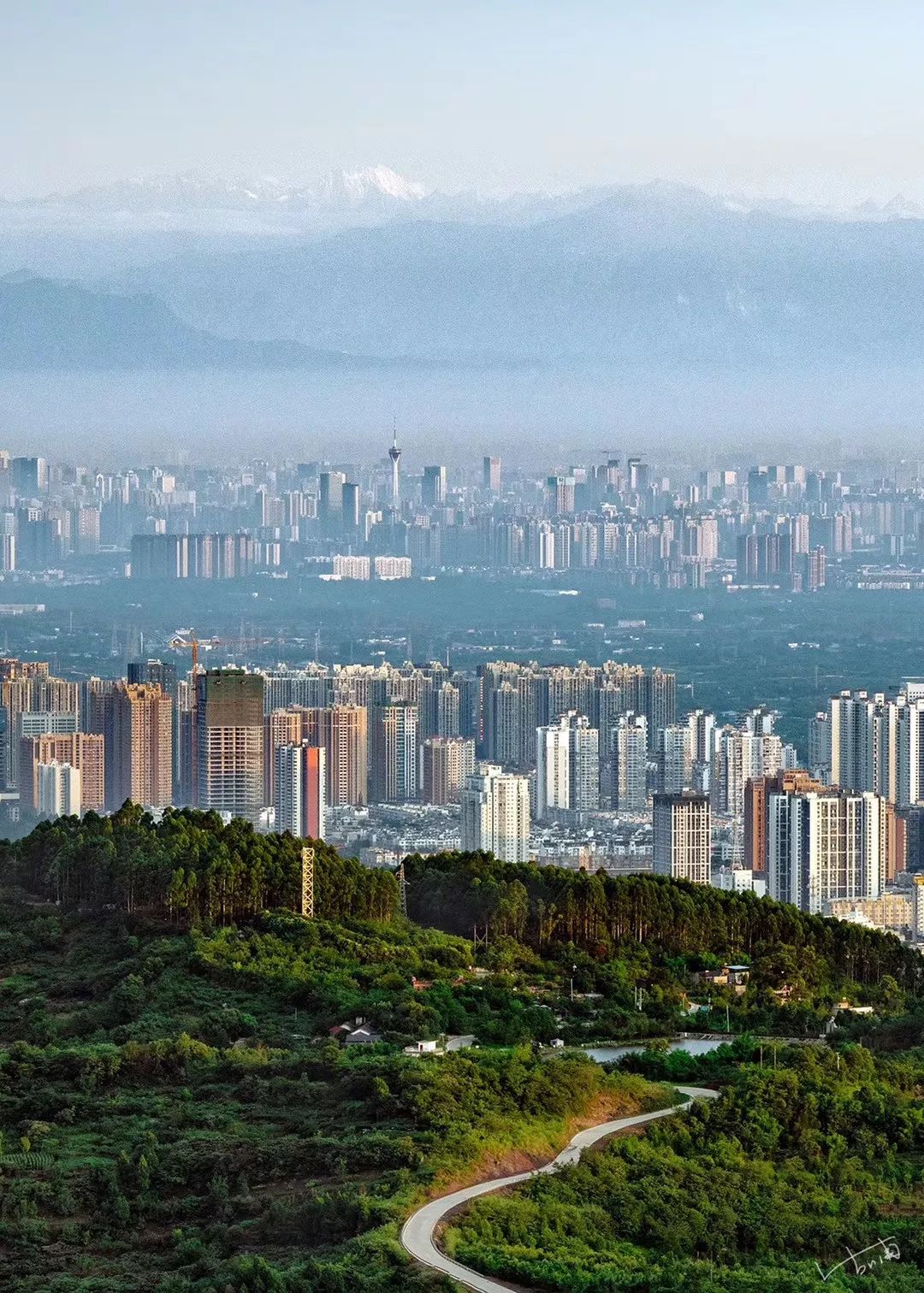 成都的都的意思是什么,成都的茶是什么茶