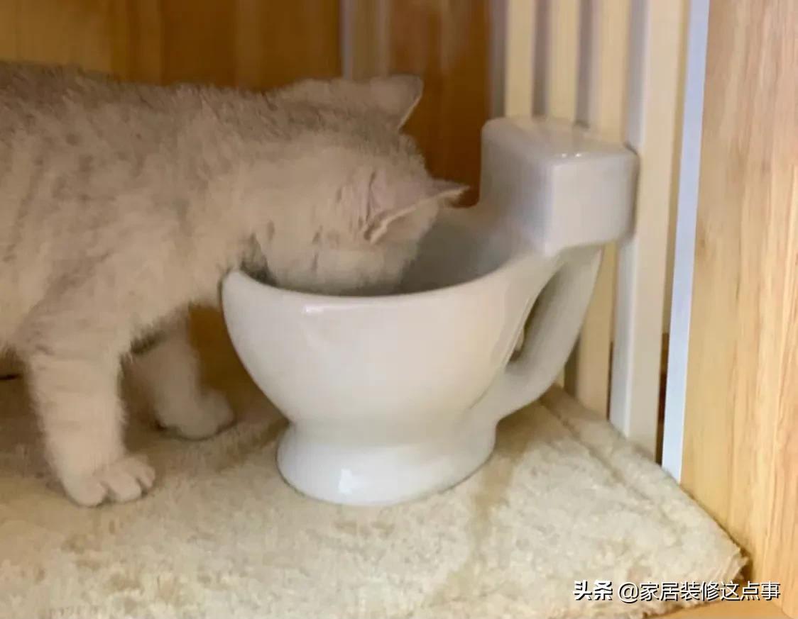 奇葩又搞笑的家具,爆笑笑到肚子疼奇葩玩具