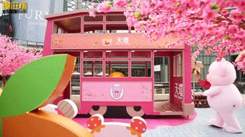 麦兜带你玩转江浙沪,麦兜潮玩