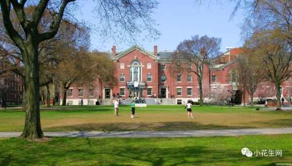 做大池塘,做大鱼池养乌龟和鱼