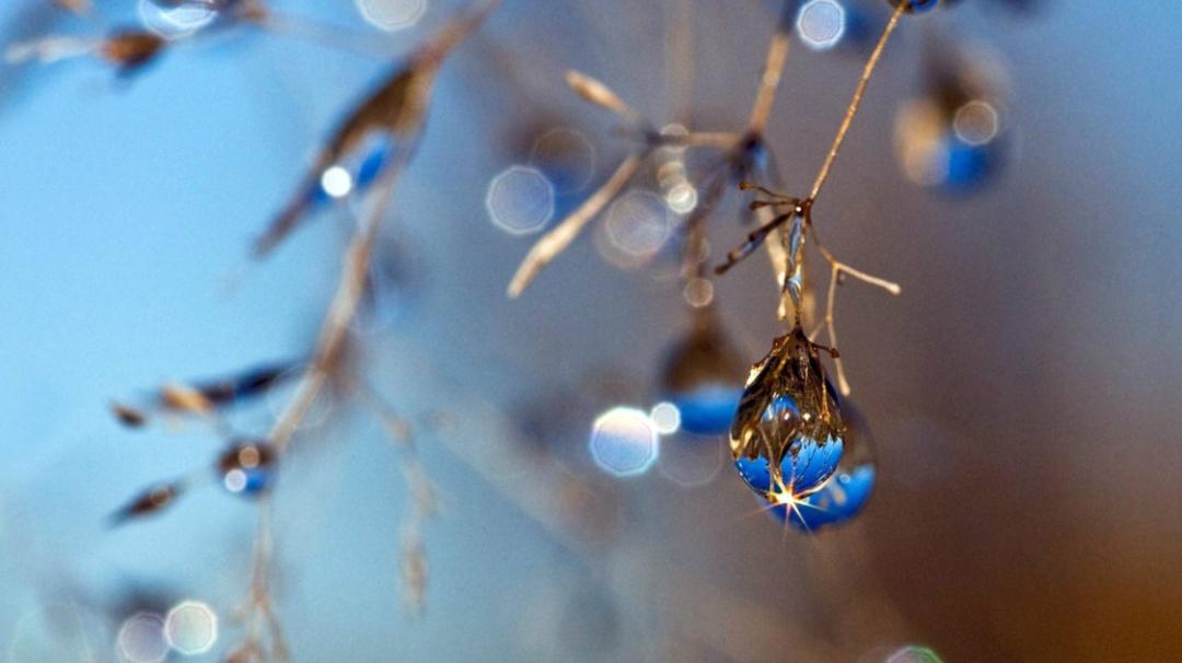 古人咏寒露的诗词,寒露古诗词鉴赏