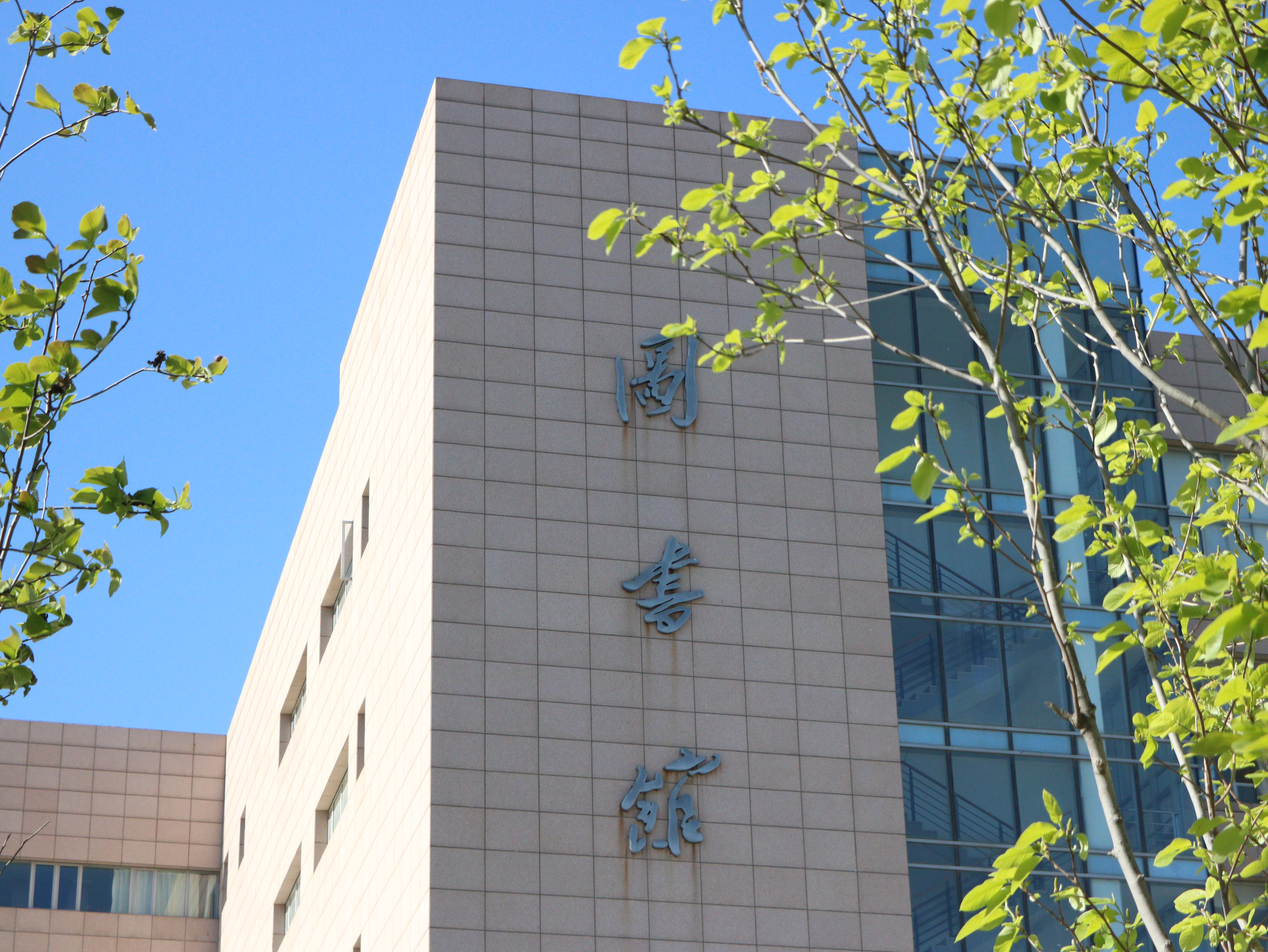 小语种就业不出国机会多吗,小语种专业真的没有出路吗