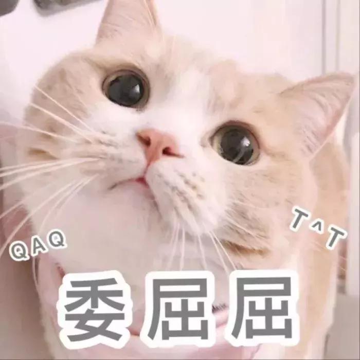 这些大牌的平价线你还不知道？几十块就能入手！