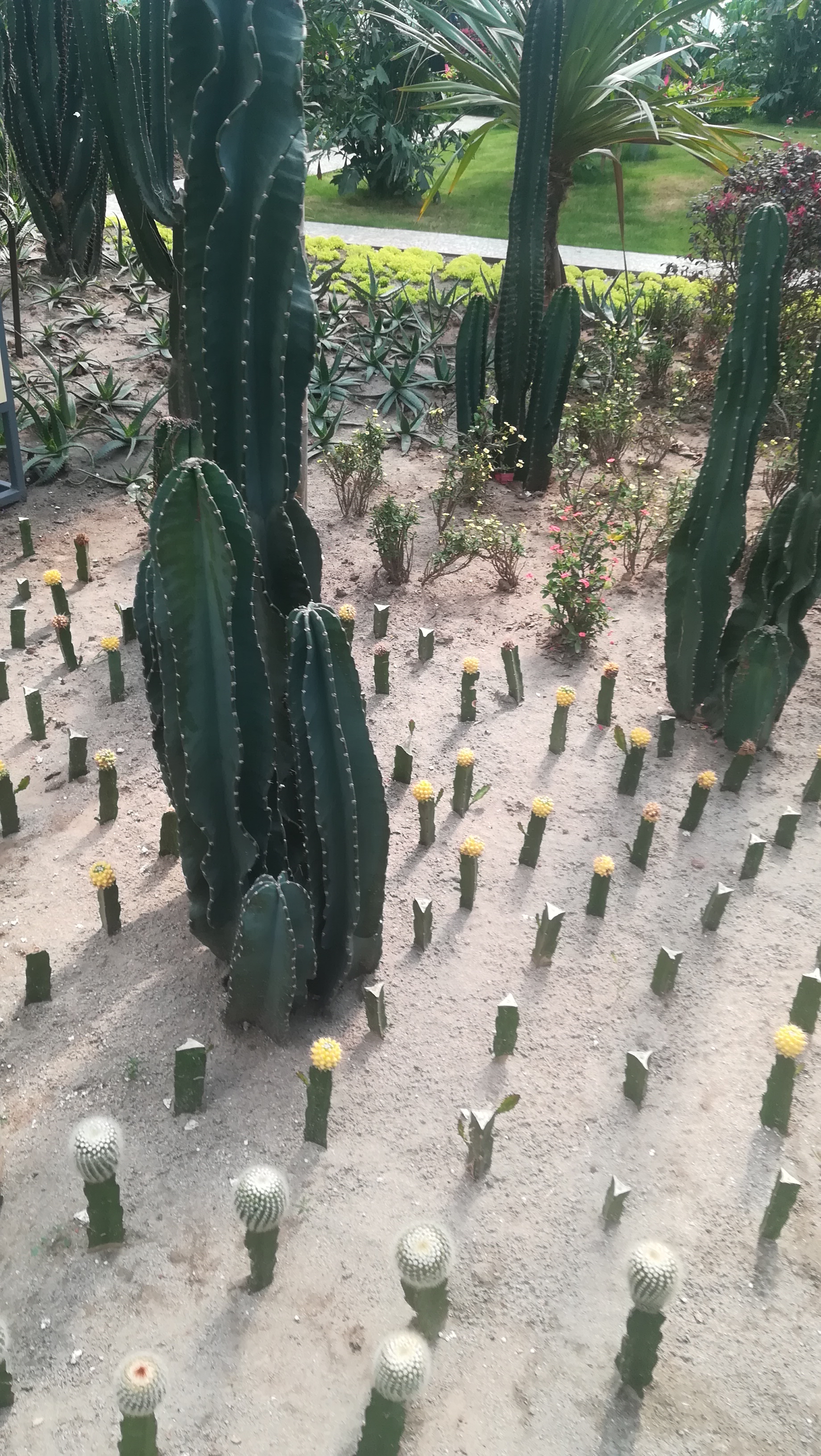 徐水神农庄园的农科园介绍,徐水炎帝神农庄园