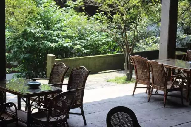 花港一楼茶楼,花港公园一元早茶