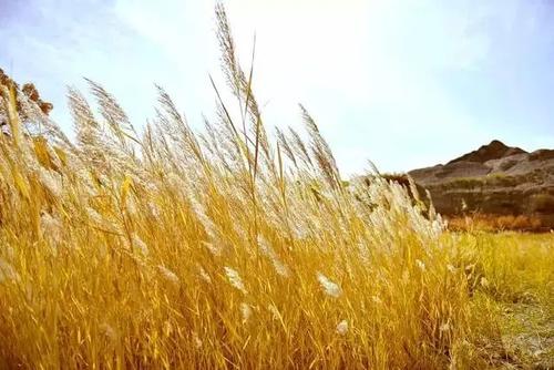 下一个假期去哪里？那些影视剧中宛如仙境的地方，不可以错过