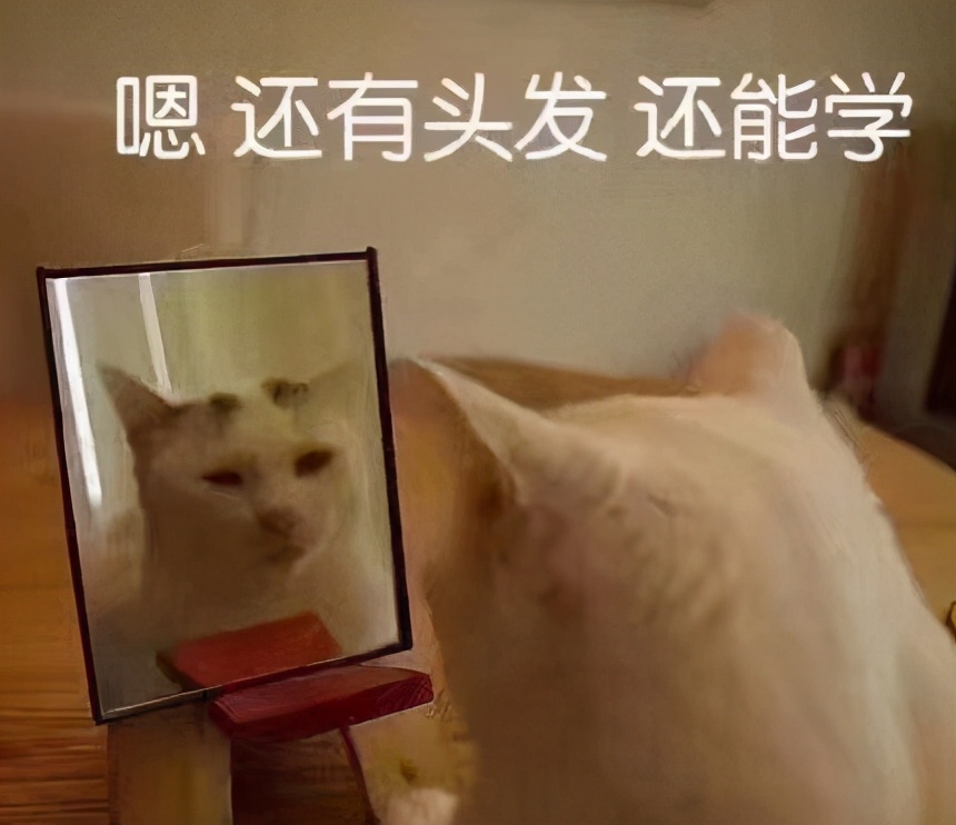 中级会计师考试坑吗,中级会计通过率低是什么原因