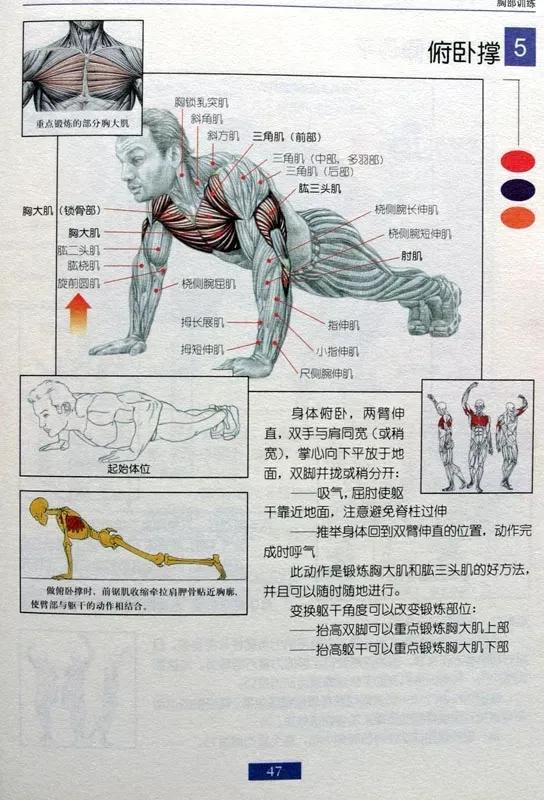 男士居家健身30分钟全身训练,男士健身保健操40至50岁