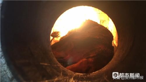 宠物生病去哪里找救助站,24小时宠物救助电话