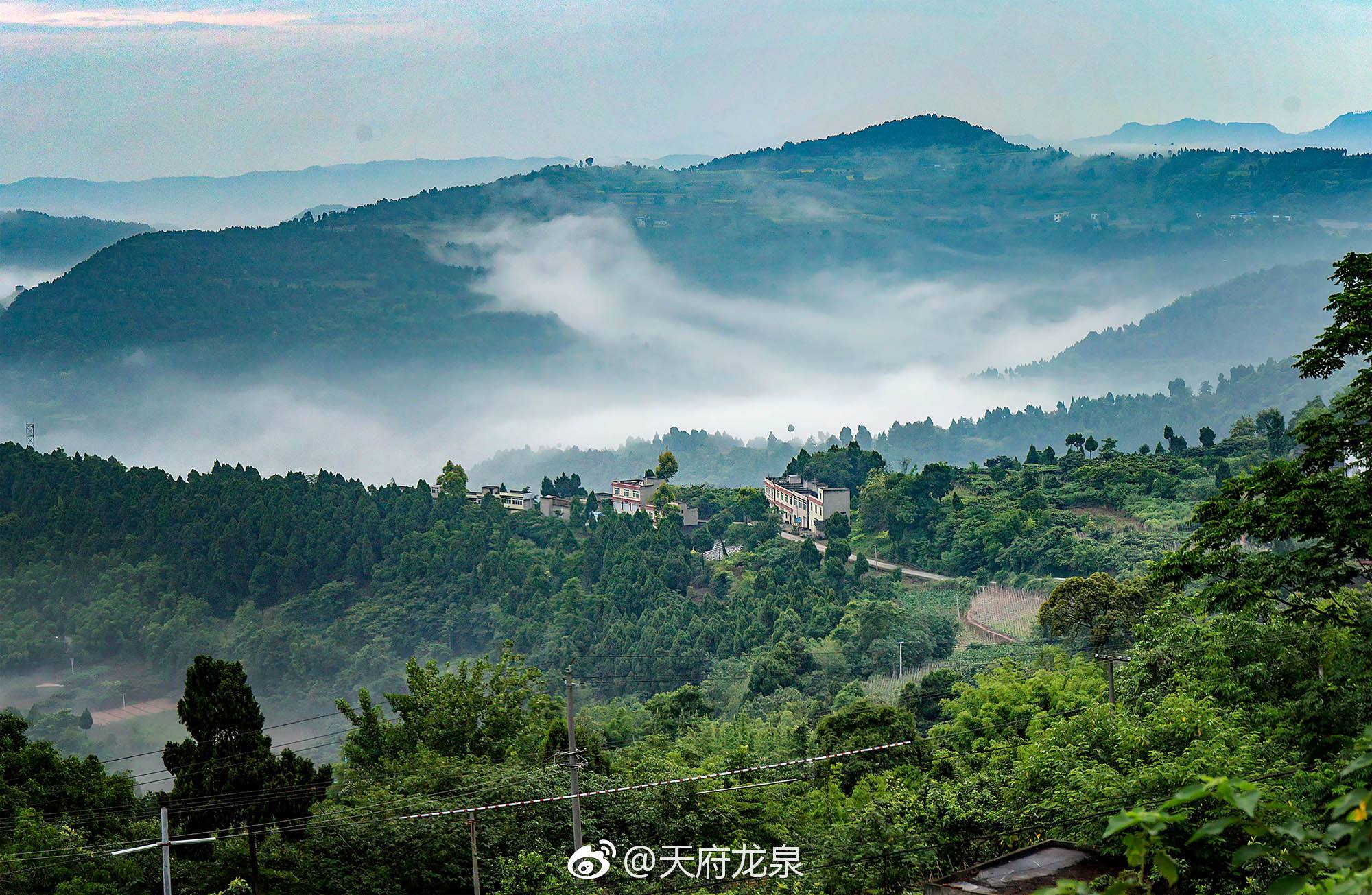 天府三九是什么,三九大天府