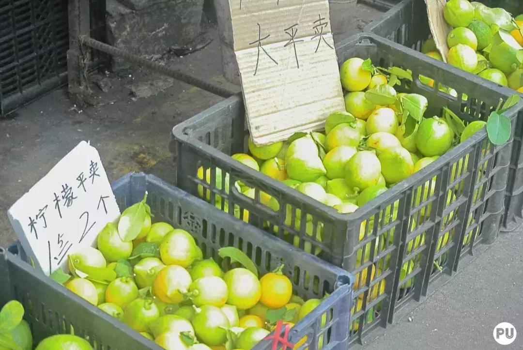 西塱市场,市井里的农贸市场