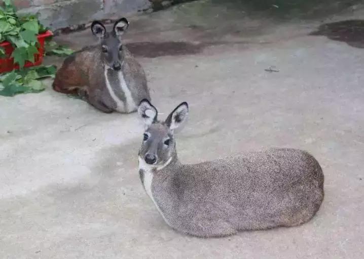 凤县县城最新图片,凤县县城简介