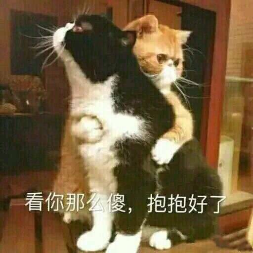 被狗咬了怎么预防狂犬病,被狗咬怎么处理伤口最安全