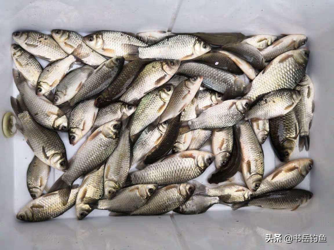 绑制鱼钩,绑制鱼钩方法