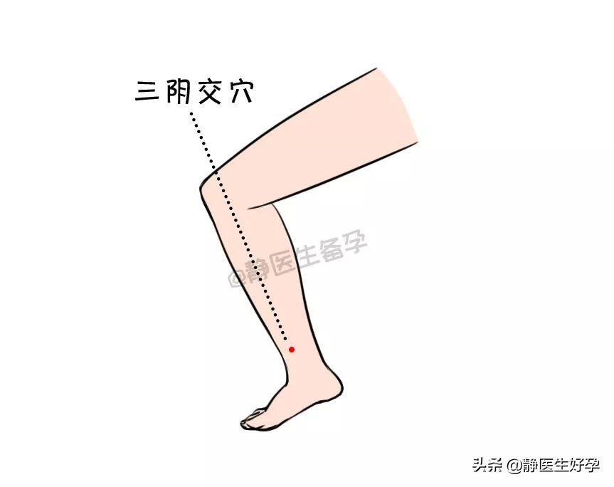 备孕可以按摩哪个穴位调理身体,备孕按摩哪个穴位最好