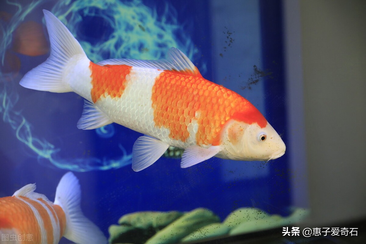 真正的钻石陨石夜明珠原石图片,价值一亿的蓝宝石陨石