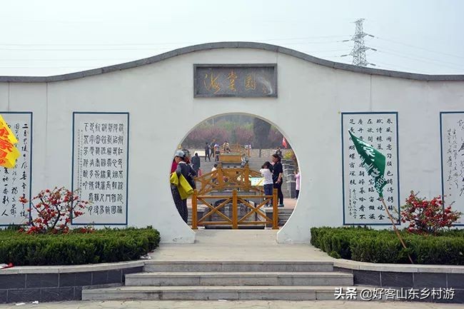 济南春季赏花自驾,济南踏青赏花新模式