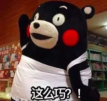 西班牙独立公投准备,西班牙独立派获刑