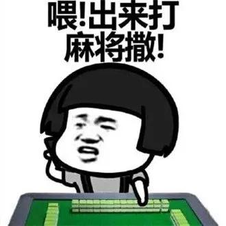 曲靖飞小鸡麻将实战直播,富源飞小鸡的麻将怎样打赢