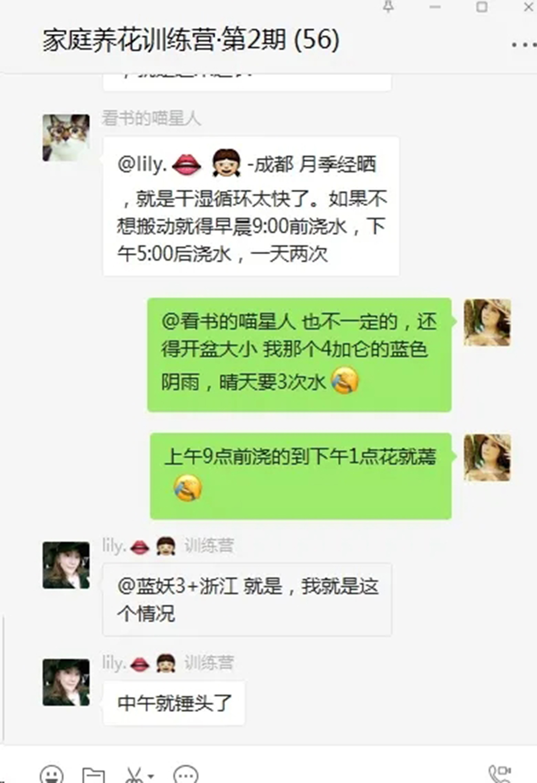 月季花开一半就不开了怎么回事,月季花开一半花蕊烂了是什么原因