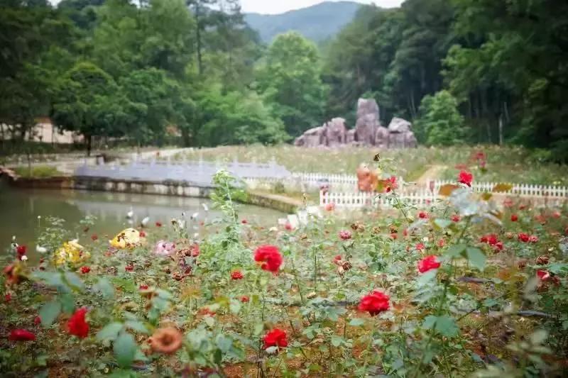 精心打造高端民宿,禅文化酒店设计风格