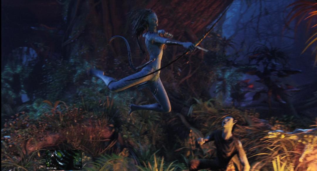 阿凡达最新彩蛋,阿凡达你不知道的隐藏细节