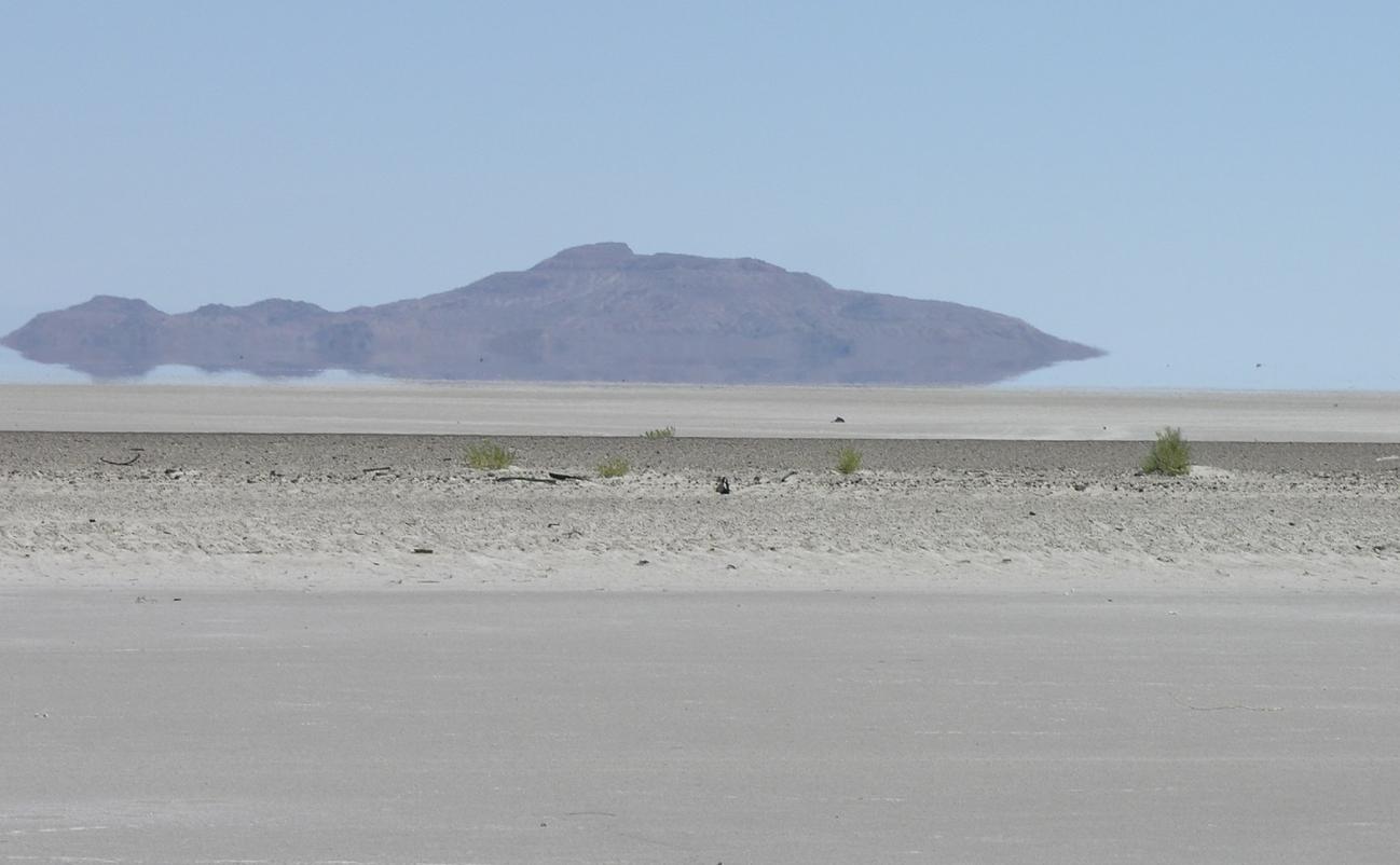 什么是光纤技术,什么是光纤通信