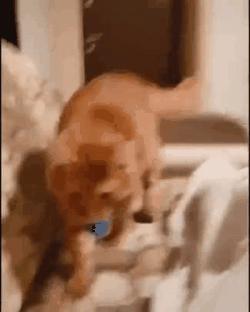 视频滤镜到底有多强,视频滤镜太多是什么原因