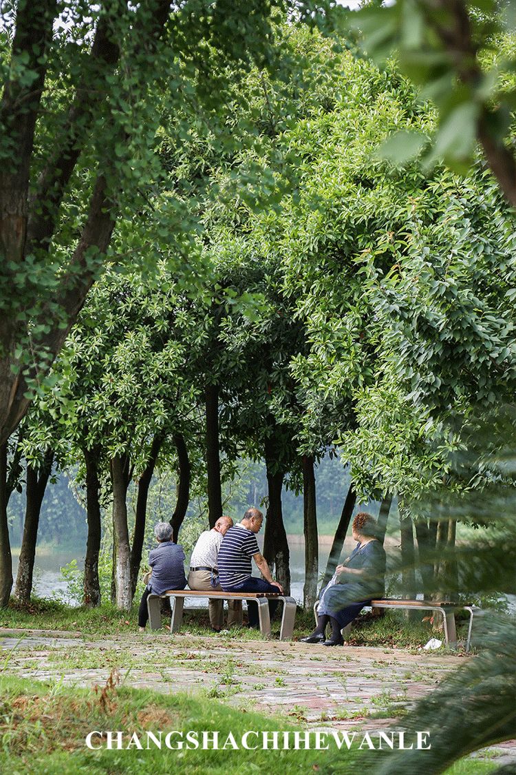 长沙轨道3号线沿线游玩攻略,长沙地铁省钱攻略