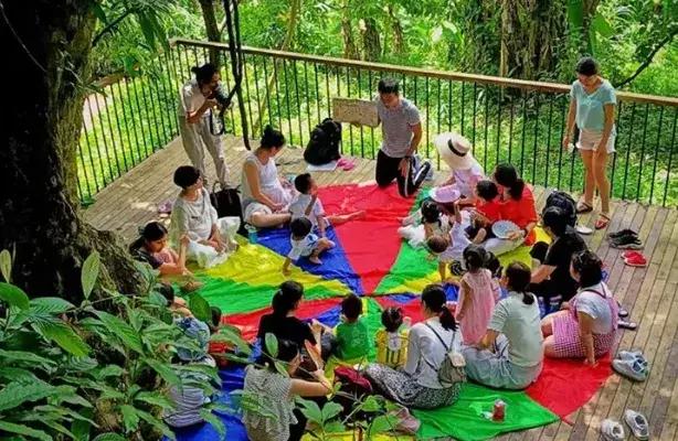 广州从化山野间隐奢桃源民宿,诗意野趣手作做个小木匠丨菁木山舍