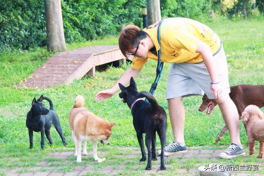 livinwild,livinwild閲庡