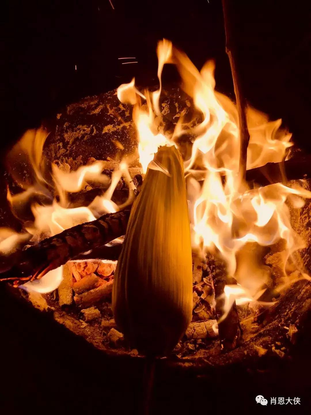 一个非典型的投资人的崛起,非典型投资者的感受