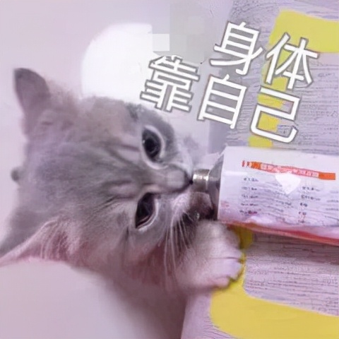 肾虚体寒喝什么,肾虚体寒需要治疗吗