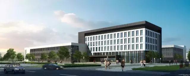 如何判定传销和诈骗的区别,如何认定传销和诈骗的区别