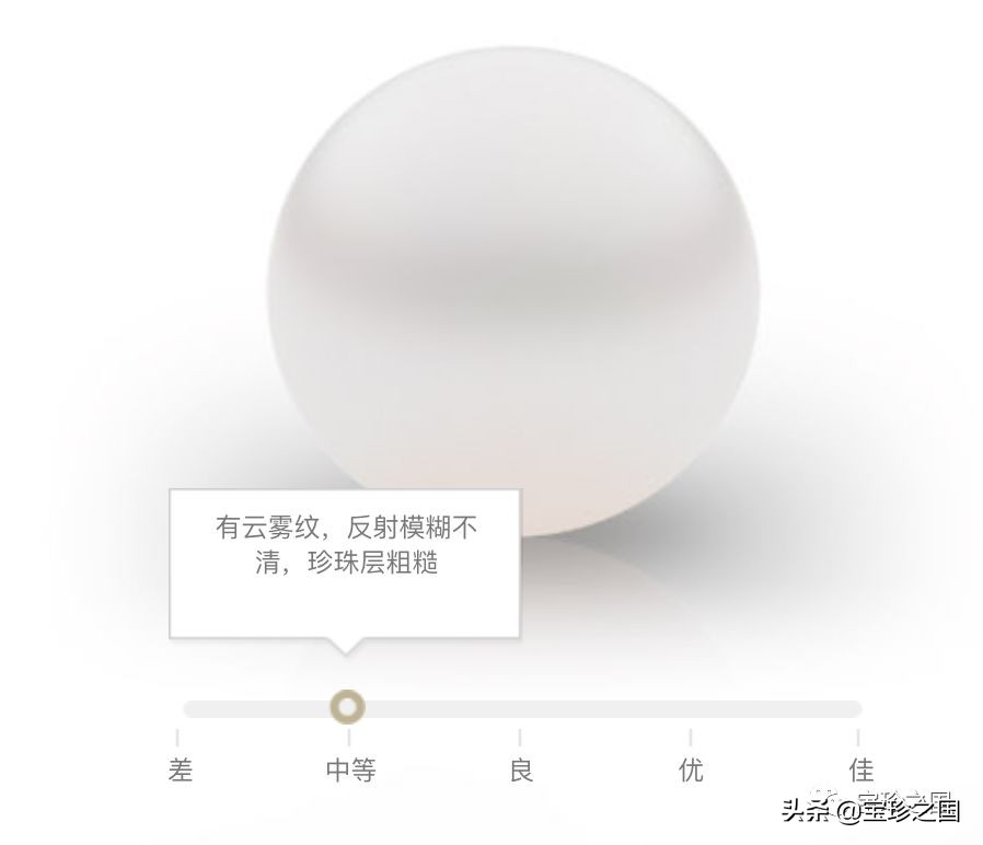 智识珍珠07|南洋白珠：珍珠界的“禁欲系”代表