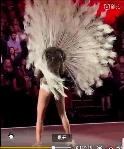 世界超模维密走秀图集,维密超模刘雯图集