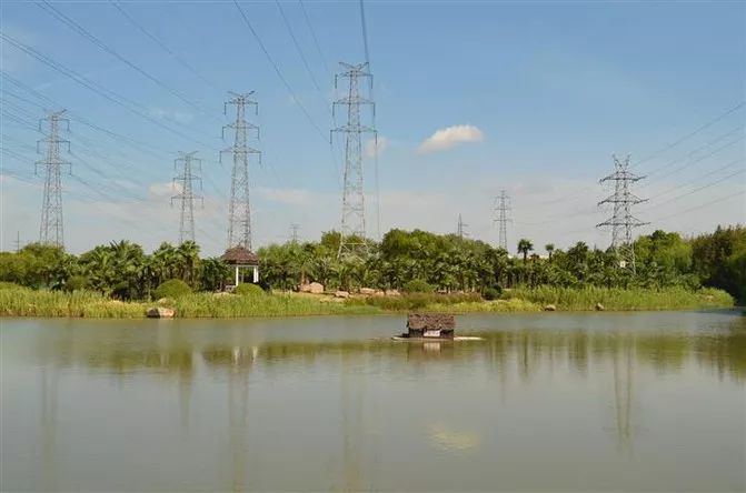 在上海一个月工资两万什么水平,月薪不过3万的看过来