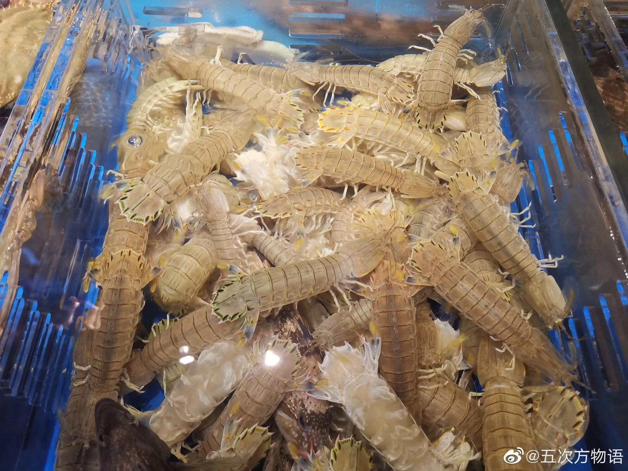 文登西洋参园,天福山文登