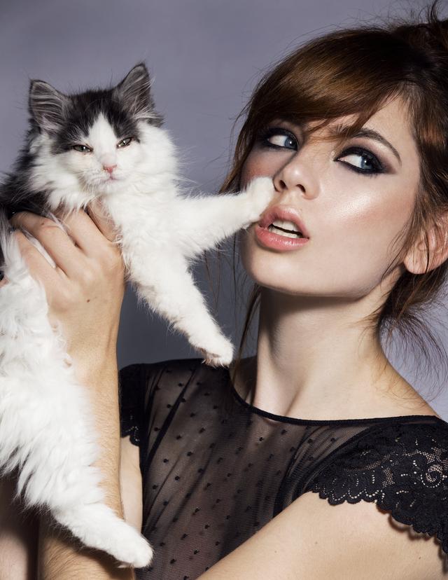 猫屁股臭腺,猫屁股很臭为什么