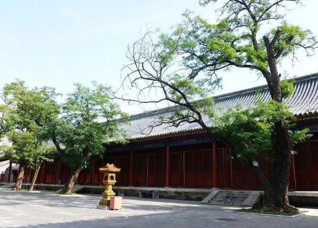 一亩三分地，了解一下？小失误惹了个*麻大**烦