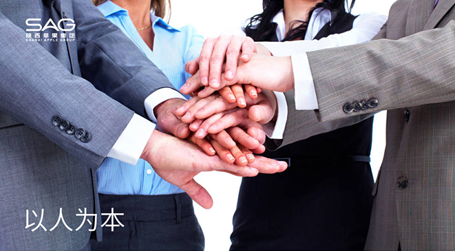 陕西苹果公司,陕西苹果十大排名