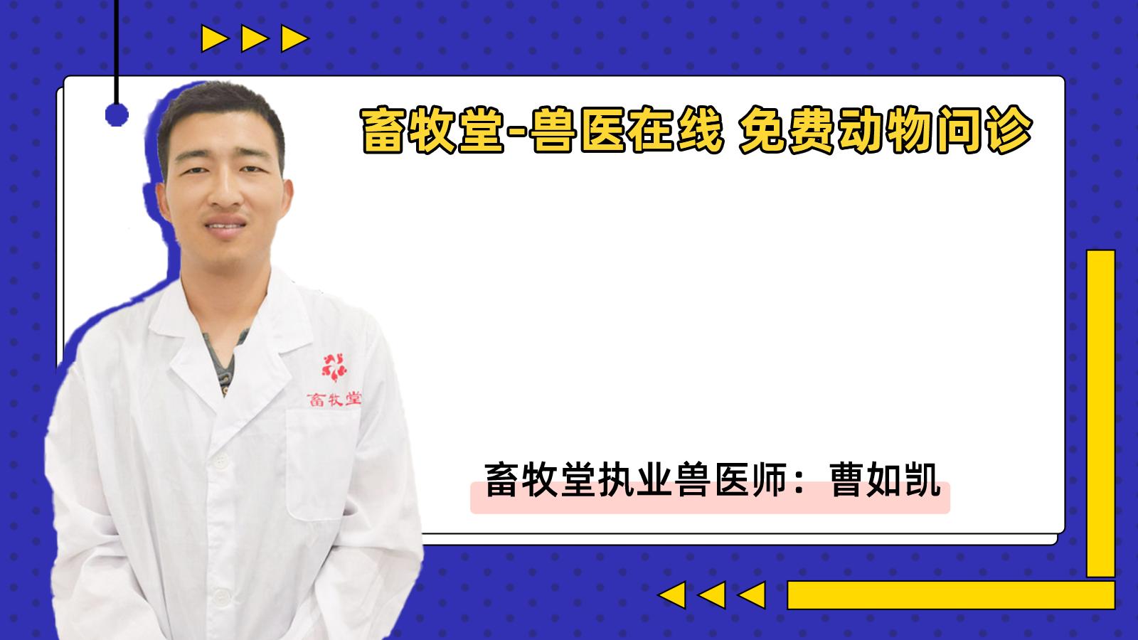 小猪呕吐是什么原因,恶心呕吐的原因和治疗方法