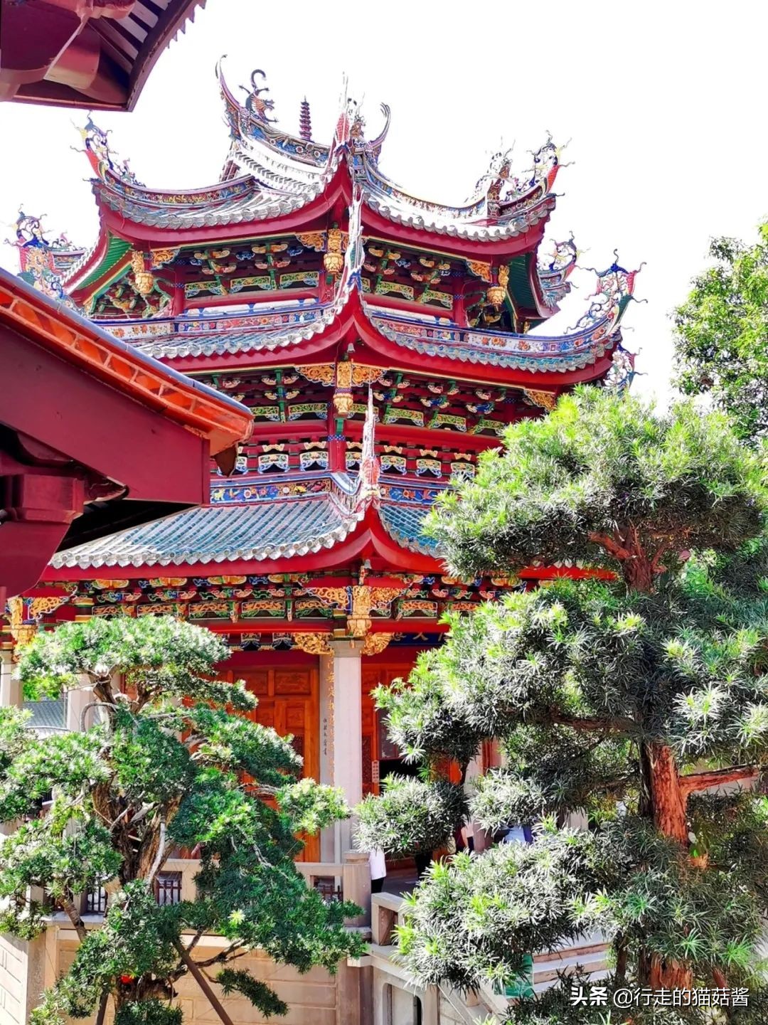 第一次去厦门必去攻略,去厦门的自由行攻略图文