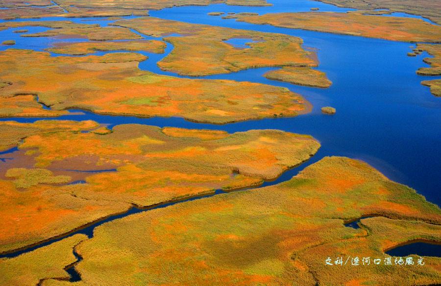 血瘀气滞补不进去怎样破瘀,气滞血瘀敲哪条经络