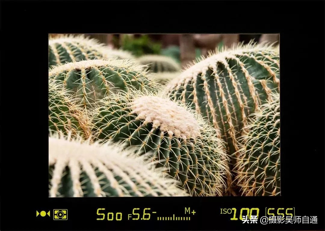 新手小白如何上手相机的各项功能,相机的各个功能介绍