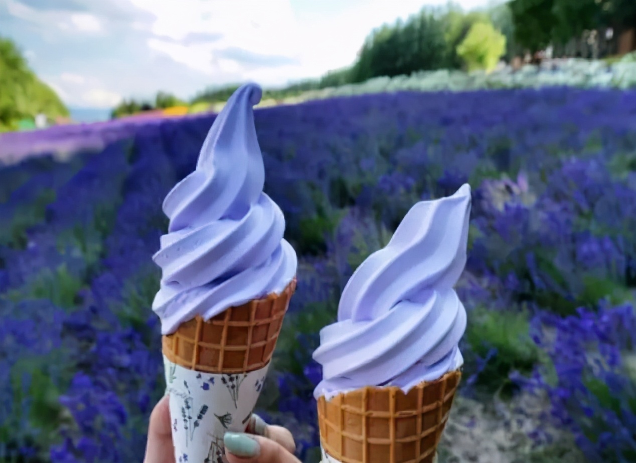 上海最大薰衣草公园,上海薰衣草公园迪士尼